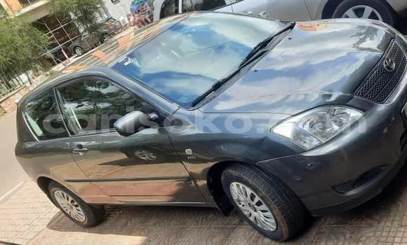 Buy Used Toyota Corolla Other Car in Kigali in Rwanda Buy Used Toyota Corolla Other Car in Kigali in Rwanda