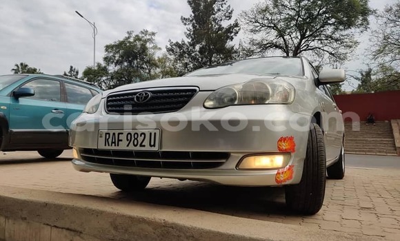 Buy Used Toyota Corolla Silver Car in Kigali in Rwanda Buy Used Toyota Corolla Silver Car in Kigali in Rwanda