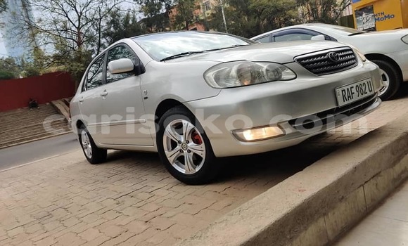 Buy Used Toyota Corolla Silver Car in Kigali in Rwanda Buy Used Toyota Corolla Silver Car in Kigali in Rwanda
