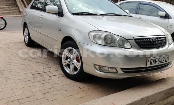 Buy Used Toyota Corolla Silver Car in Kigali in Rwanda Buy Used Toyota Corolla Silver Car in Kigali in Rwanda