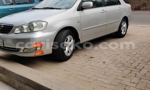 Buy Used Toyota Corolla Silver Car in Kigali in Rwanda Buy Used Toyota Corolla Silver Car in Kigali in Rwanda