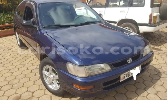 Buy Used Toyota Corolla Blue Car in Kigali in Rwanda Buy Used Toyota Corolla Blue Car in Kigali in Rwanda