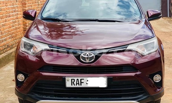 Buy Used Toyota RAV4 Red Car in Kigali in Rwanda Buy Used Toyota RAV4 Red Car in Kigali in Rwanda