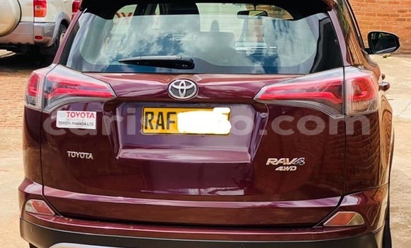 Buy Used Toyota RAV4 Red Car in Kigali in Rwanda Buy Used Toyota RAV4 Red Car in Kigali in Rwanda