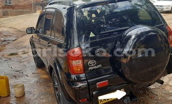 Buy Used Toyota RAV4 Black Car in Kigali in Rwanda Buy Used Toyota RAV4 Black Car in Kigali in Rwanda