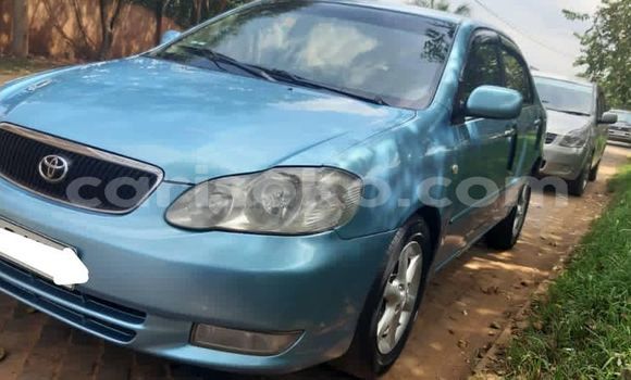 Buy Used Toyota Corolla Blue Car in Kigali in Rwanda Buy Used Toyota Corolla Blue Car in Kigali in Rwanda