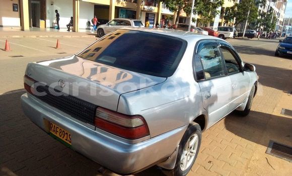 Buy Used Toyota Corolla Silver Car in Kigali in Rwanda Buy Used Toyota Corolla Silver Car in Kigali in Rwanda
