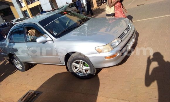 Buy Used Toyota Corolla Silver Car in Kigali in Rwanda Buy Used Toyota Corolla Silver Car in Kigali in Rwanda