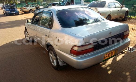 Buy Used Toyota Corolla Silver Car in Kigali in Rwanda Buy Used Toyota Corolla Silver Car in Kigali in Rwanda