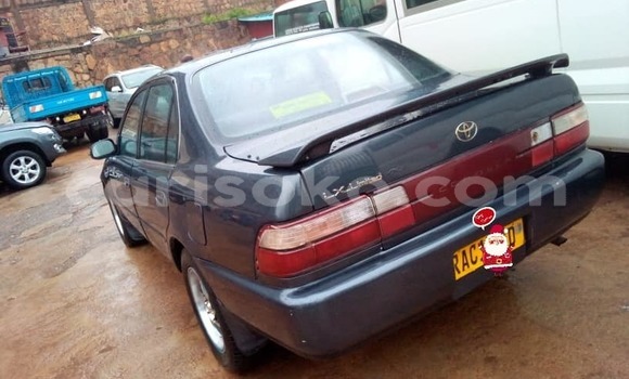 Buy Used Toyota Corolla Blue Car in Kigali in Rwanda Buy Used Toyota Corolla Blue Car in Kigali in Rwanda