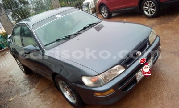 Buy Used Toyota Corolla Blue Car in Kigali in Rwanda Buy Used Toyota Corolla Blue Car in Kigali in Rwanda