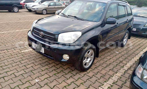 Buy Used Toyota RAV4 Black Car in Kigali in Rwanda Buy Used Toyota RAV4 Black Car in Kigali in Rwanda