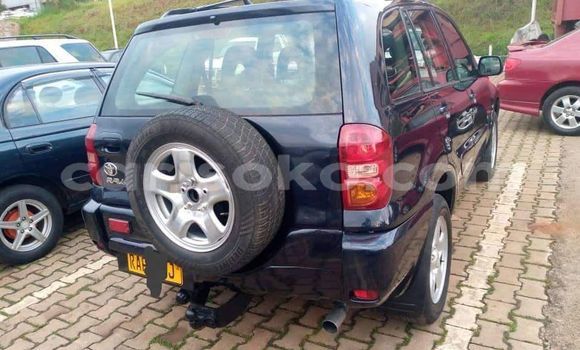 Buy Used Toyota RAV4 Black Car in Kigali in Rwanda Buy Used Toyota RAV4 Black Car in Kigali in Rwanda