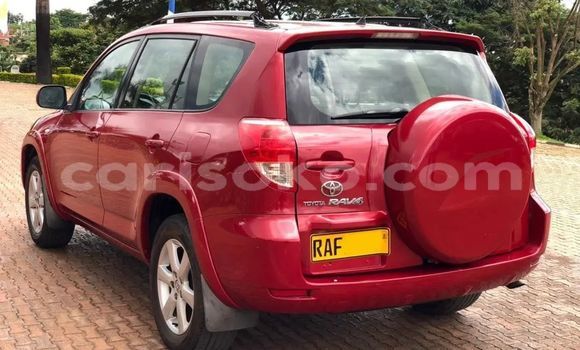 Buy Used Toyota RAV4 Red Car in Kigali in Rwanda Buy Used Toyota RAV4 Red Car in Kigali in Rwanda