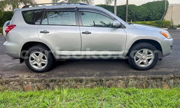 Buy Used Toyota RAV4 Silver Car in Kigali in Rwanda Buy Used Toyota RAV4 Silver Car in Kigali in Rwanda