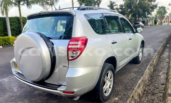 Buy Used Toyota RAV4 Silver Car in Kigali in Rwanda Buy Used Toyota RAV4 Silver Car in Kigali in Rwanda
