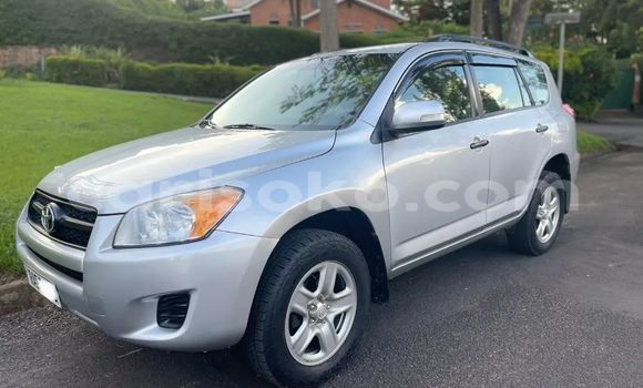 Buy Used Toyota RAV4 Silver Car in Kigali in Rwanda Buy Used Toyota RAV4 Silver Car in Kigali in Rwanda