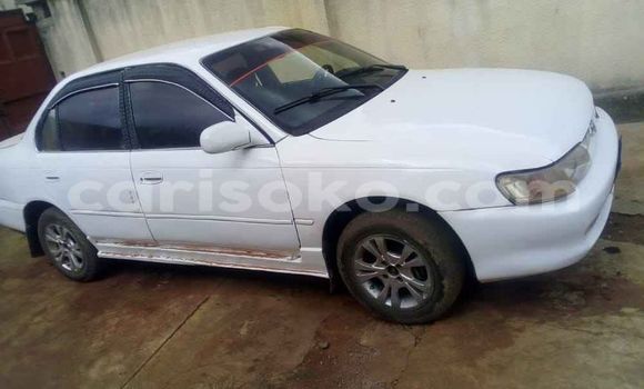 Buy Used Toyota Corolla White Car in Kigali in Rwanda Buy Used Toyota Corolla White Car in Kigali in Rwanda