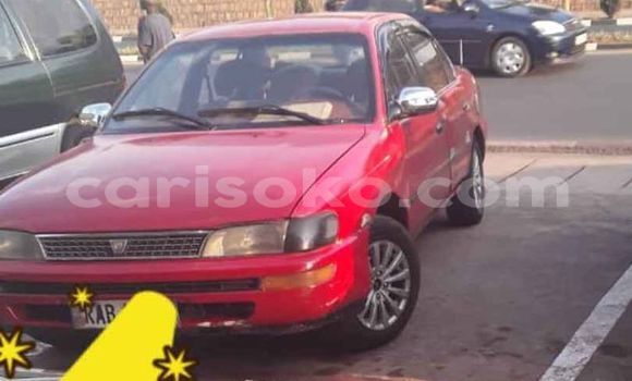 Acheter Occasion Voiture Toyota Corolla Rouge à Kigali, Rwanda Acheter Occasion Voiture Toyota Corolla Rouge à Kigali, Rwanda