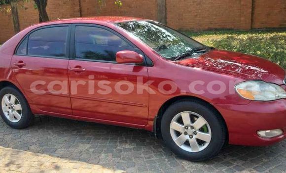 Buy Used Toyota Corolla Red Car in Kigali in Rwanda Buy Used Toyota Corolla Red Car in Kigali in Rwanda