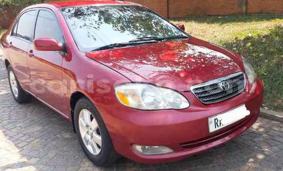 Buy Used Toyota Corolla Red Car in Kigali in Rwanda Buy Used Toyota Corolla Red Car in Kigali in Rwanda