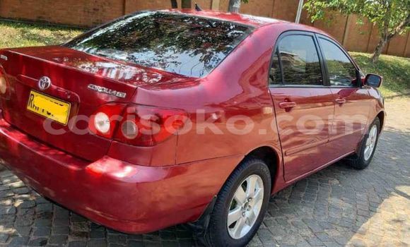 Buy Used Toyota Corolla Red Car in Kigali in Rwanda Buy Used Toyota Corolla Red Car in Kigali in Rwanda