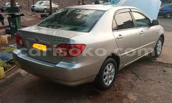 Buy Used Toyota Corolla Beige Car in Kigali in Rwanda Buy Used Toyota Corolla Beige Car in Kigali in Rwanda