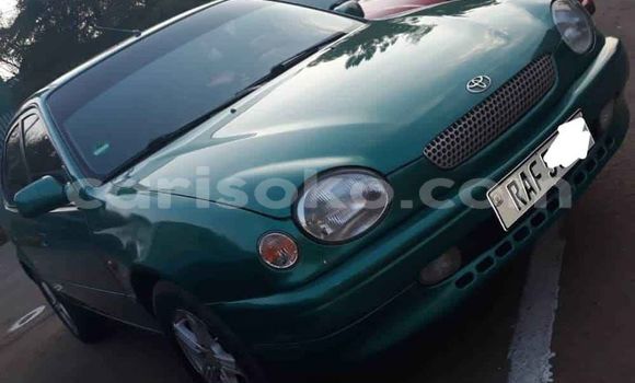 Buy Used Toyota Corolla Green Car in Kigali in Rwanda Buy Used Toyota Corolla Green Car in Kigali in Rwanda