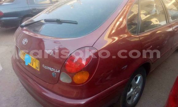 Buy Used Toyota Corolla Red Car in Kigali in Rwanda Buy Used Toyota Corolla Red Car in Kigali in Rwanda