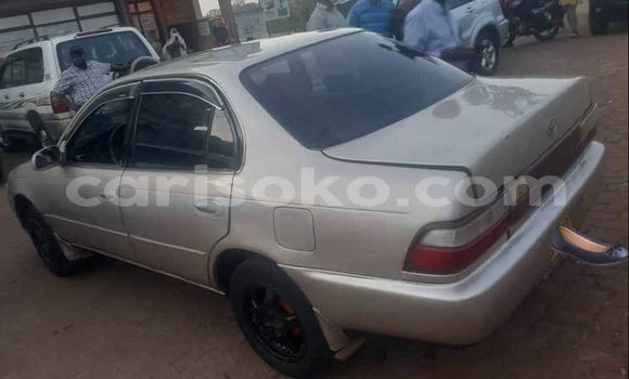Buy Used Toyota Corolla Beige Car in Kigali in Rwanda Buy Used Toyota Corolla Beige Car in Kigali in Rwanda