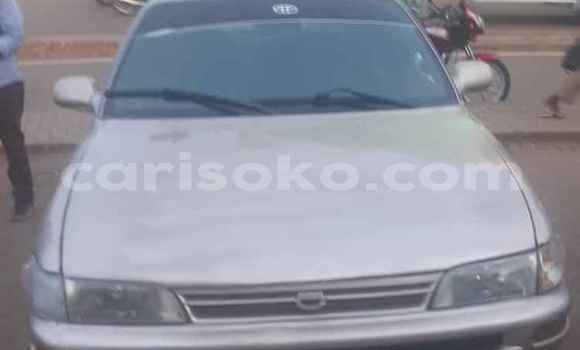 Buy Used Toyota Corolla Beige Car in Kigali in Rwanda Buy Used Toyota Corolla Beige Car in Kigali in Rwanda