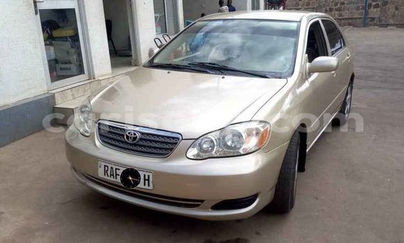 Buy Used Toyota Corolla Brown Car in Kigali in Rwanda Buy Used Toyota Corolla Brown Car in Kigali in Rwanda