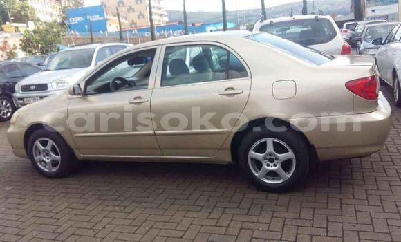 Buy Used Toyota Corolla Brown Car in Kigali in Rwanda Buy Used Toyota Corolla Brown Car in Kigali in Rwanda