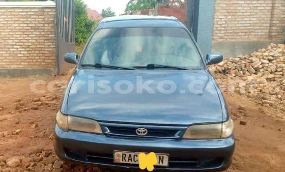 Buy Used Toyota Corolla Blue Car in Kigali in Rwanda Buy Used Toyota Corolla Blue Car in Kigali in Rwanda