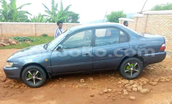 Buy Used Toyota Corolla Blue Car in Kigali in Rwanda Buy Used Toyota Corolla Blue Car in Kigali in Rwanda