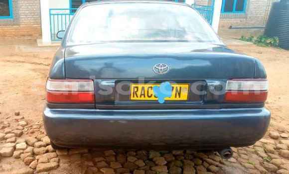 Buy Used Toyota Corolla Blue Car in Kigali in Rwanda Buy Used Toyota Corolla Blue Car in Kigali in Rwanda