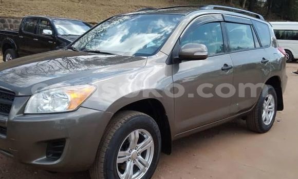 Buy Used Toyota RAV4 Brown Car in Kigali in Rwanda Buy Used Toyota RAV4 Brown Car in Kigali in Rwanda