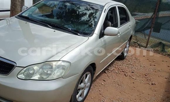 Buy Used Toyota Corolla Silver Car in Kigali in Rwanda Buy Used Toyota Corolla Silver Car in Kigali in Rwanda