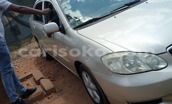 Buy Used Toyota Corolla Silver Car in Kigali in Rwanda Buy Used Toyota Corolla Silver Car in Kigali in Rwanda