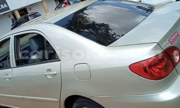 Buy Used Toyota Corolla Silver Car in Kigali in Rwanda Buy Used Toyota Corolla Silver Car in Kigali in Rwanda