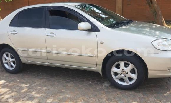 Buy Used Toyota Corolla Silver Car in Kigali in Rwanda Buy Used Toyota Corolla Silver Car in Kigali in Rwanda