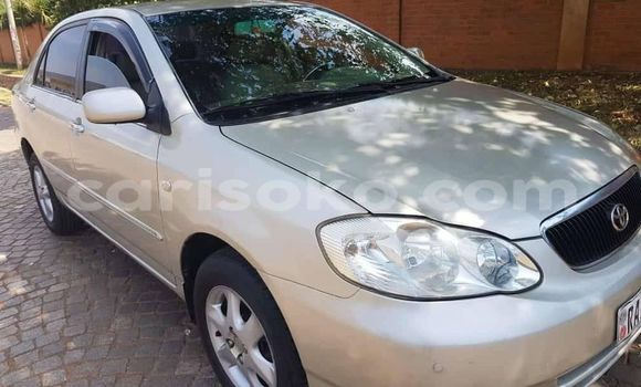 Buy Used Toyota Corolla Silver Car in Kigali in Rwanda Buy Used Toyota Corolla Silver Car in Kigali in Rwanda