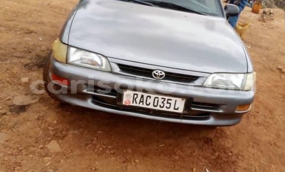 Buy Used Toyota Corolla Other Car in Kigali in Rwanda Buy Used Toyota Corolla Other Car in Kigali in Rwanda