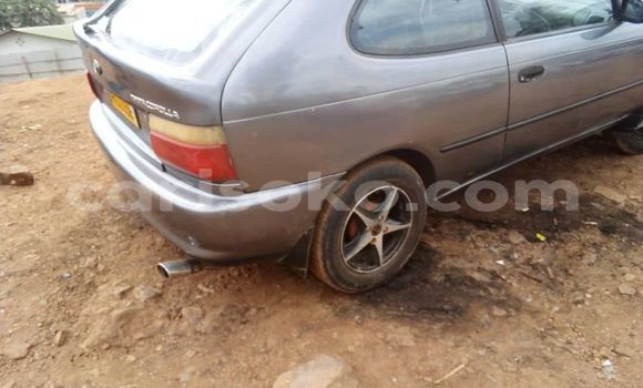 Buy Used Toyota Corolla Other Car in Kigali in Rwanda Buy Used Toyota Corolla Other Car in Kigali in Rwanda