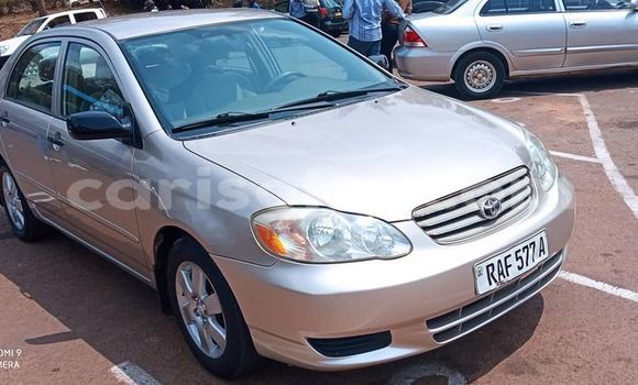 اشتري مستعمل Toyota Corolla Gris سيارة في Kigali في Rwanda اشتري مستعمل Toyota Corolla Gris سيارة في Kigali في Rwanda