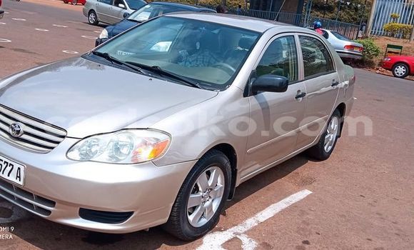 اشتري مستعمل Toyota Corolla Gris سيارة في Kigali في Rwanda اشتري مستعمل Toyota Corolla Gris سيارة في Kigali في Rwanda