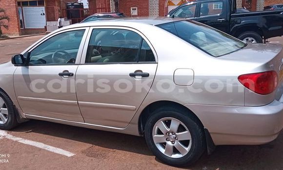 اشتري مستعمل Toyota Corolla Gris سيارة في Kigali في Rwanda اشتري مستعمل Toyota Corolla Gris سيارة في Kigali في Rwanda