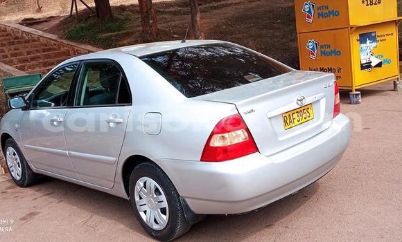 اشتري مستعمل Toyota Corolla Gris سيارة في Kigali في Rwanda اشتري مستعمل Toyota Corolla Gris سيارة في Kigali في Rwanda