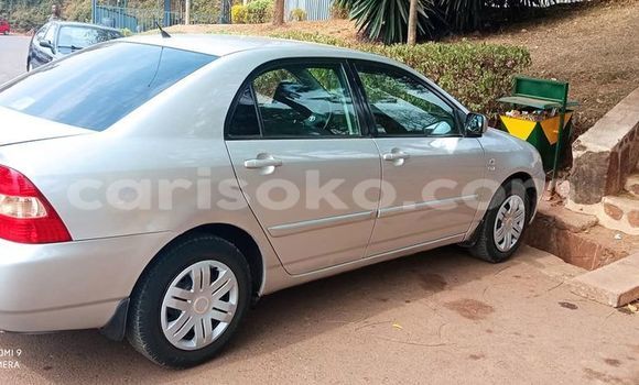 اشتري مستعمل Toyota Corolla Gris سيارة في Kigali في Rwanda اشتري مستعمل Toyota Corolla Gris سيارة في Kigali في Rwanda