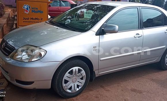 اشتري مستعمل Toyota Corolla Gris سيارة في Kigali في Rwanda اشتري مستعمل Toyota Corolla Gris سيارة في Kigali في Rwanda